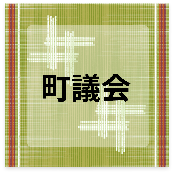 町議会