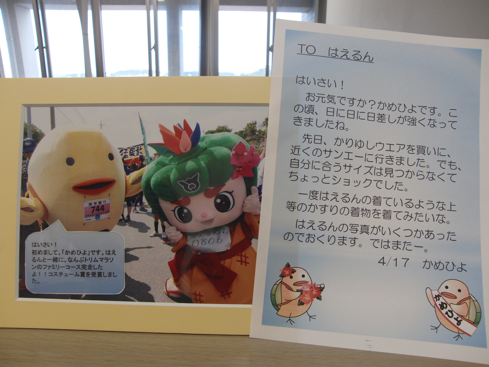 かめひよ2