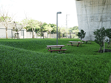 高架下空間を利用したユニークな公園の画像2