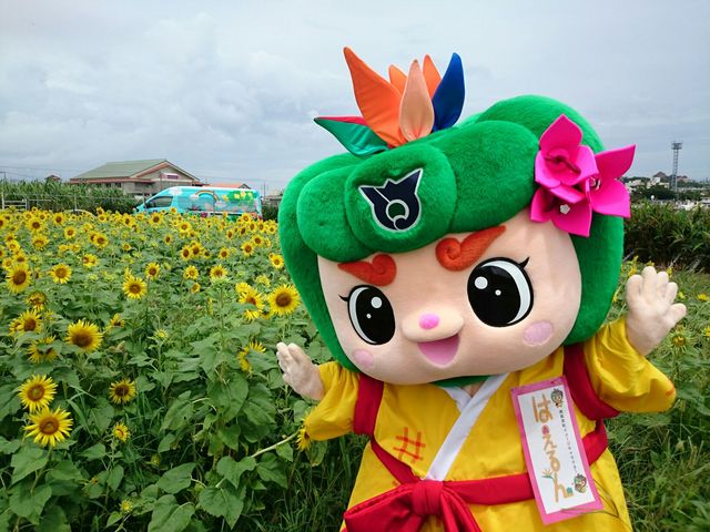はえるん