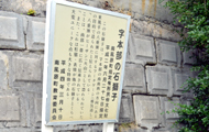 表情がユニークな本部の石獅子の画像3