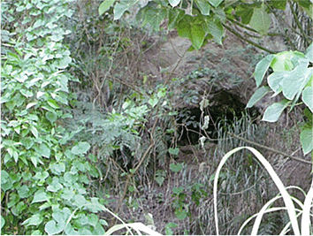 第62師団野戦病院壕跡の画像
