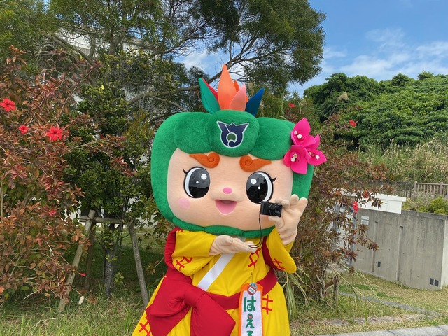 3月19日はカメラ発明記念日の画像2
