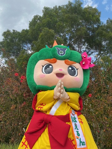 はえるんファンクラブの画像1