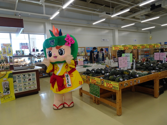 かぼちゃの販促のお手伝いをしたルンの画像2