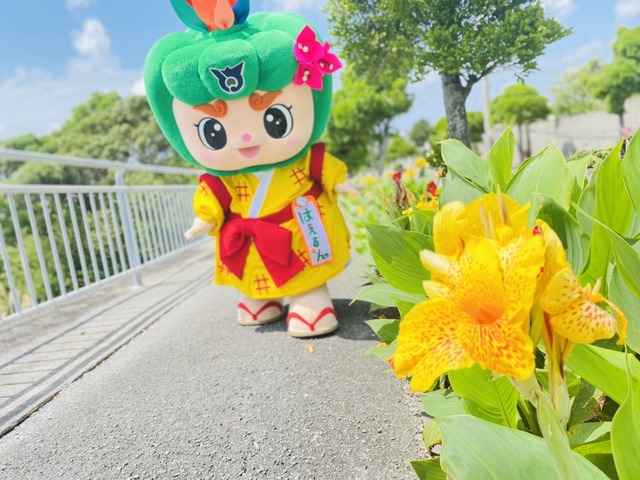 カンナ通りをお散歩中はえるんの画像1