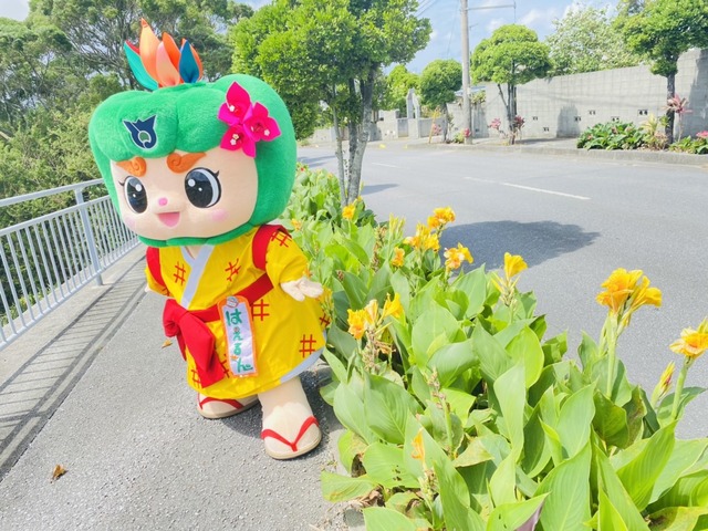カンナ通りをお散歩中はえるんの画像2