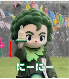 ゴーヤー3