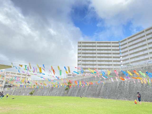 町民広場のこいのぼりを見に行ったルンの画像2