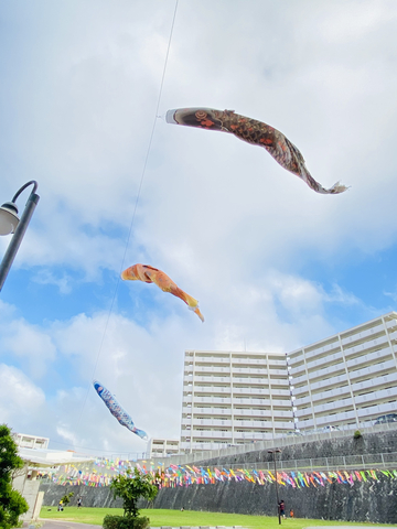 町民広場のこいのぼりを見に行ったルンの画像3