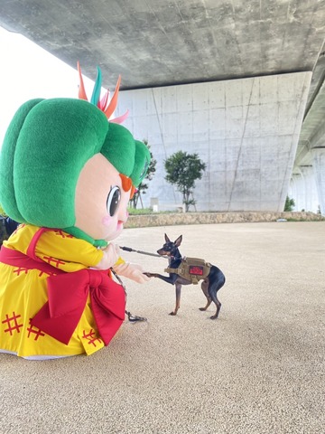 5月13日は愛犬の日の画像2
