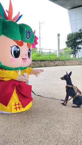 5月13日は愛犬の日の画像3