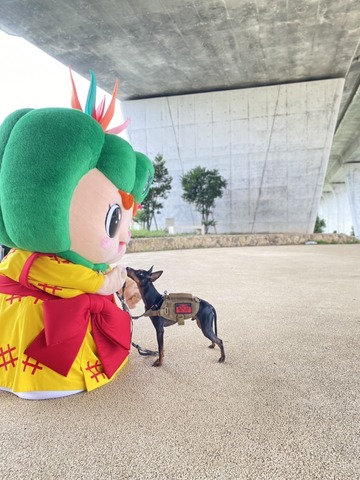 5月13日は愛犬の日の画像4