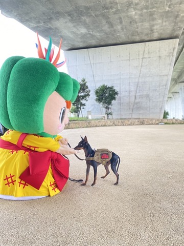 5月13日は愛犬の日の画像5