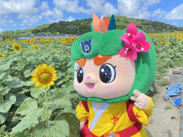 ひまわり畑へ行ったルンの画像2