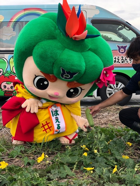 ヘチマの勉強会の画像2