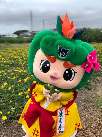 ヘチマの勉強会の画像3