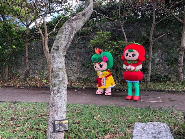 出番待ち