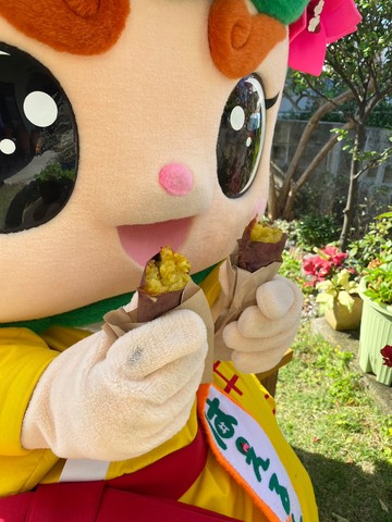 壺やきいも専門店くり太郎に取材に行ったルンの画像3