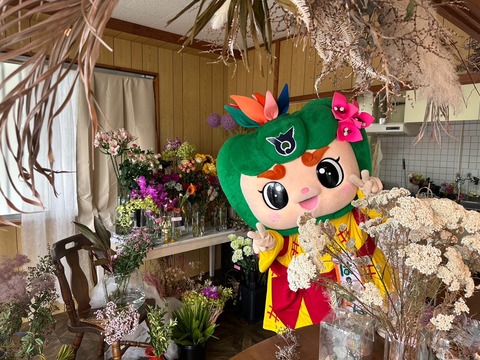店内の画像