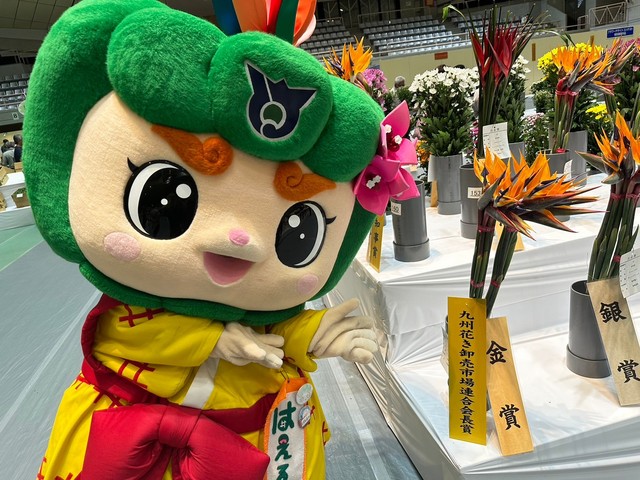 ストレリチア