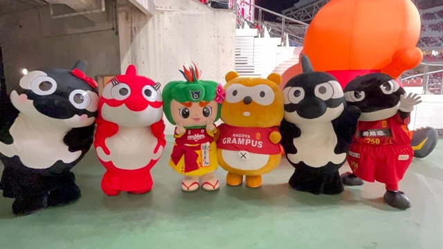 豊田スタジアムのみなさんありがとうございましたルンの画像5