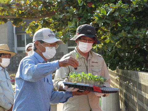 環境整備・植え付け1