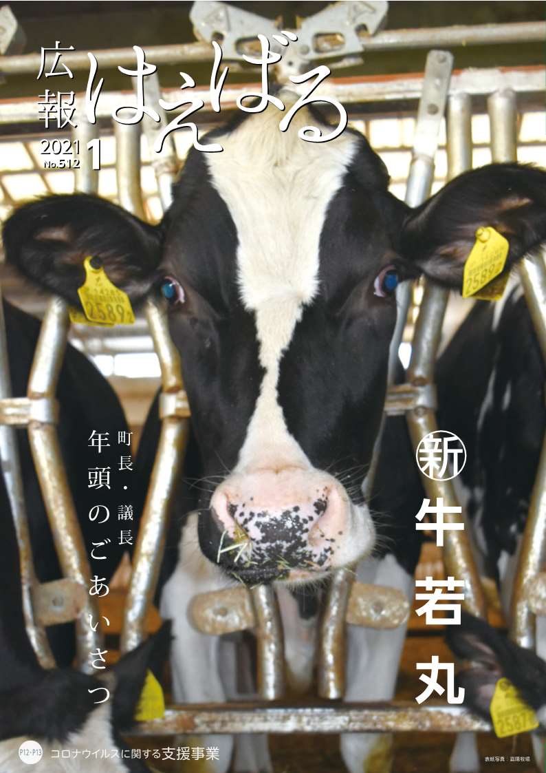 『広報はえばる』2021年1月号の画像
