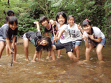 やんばるエコツアーの画像3