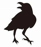 カラスの画像