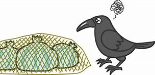 カラス除けのネットや蓋付きポリバケツを設置する。の画像1