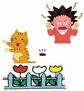 猫が庭に入らないようにする方法の画像1