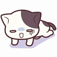 猫よけのポイントの画像