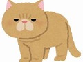 猫がやってきた時に追い払うの画像