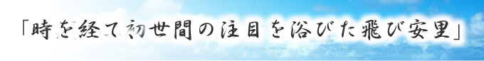 飛び安里特集バナー3