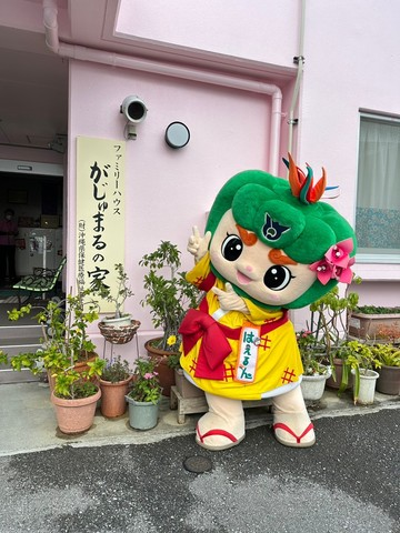 がじゅまる1
