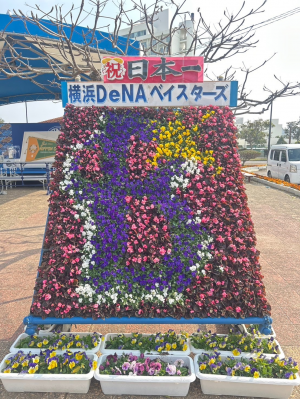 横浜DeNaベイスターズのロゴを表したお花のエンブレム