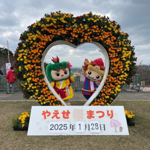 八重瀬町の桜祭りに突撃訪問！やえせのシーちゃんとハートの中で仲良しタイム