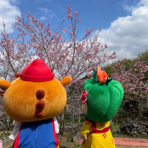桜の木にうっとりなシーちゃんとはえるん