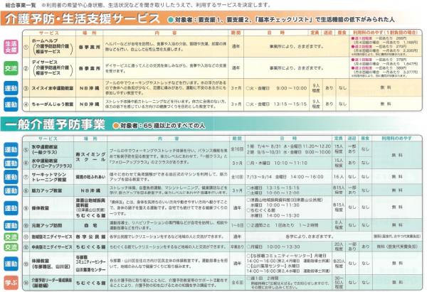 介護予防・日常生活支援総合事業2