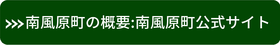 南風原町概要