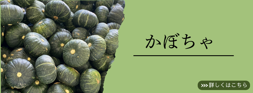 かぼちゃについて