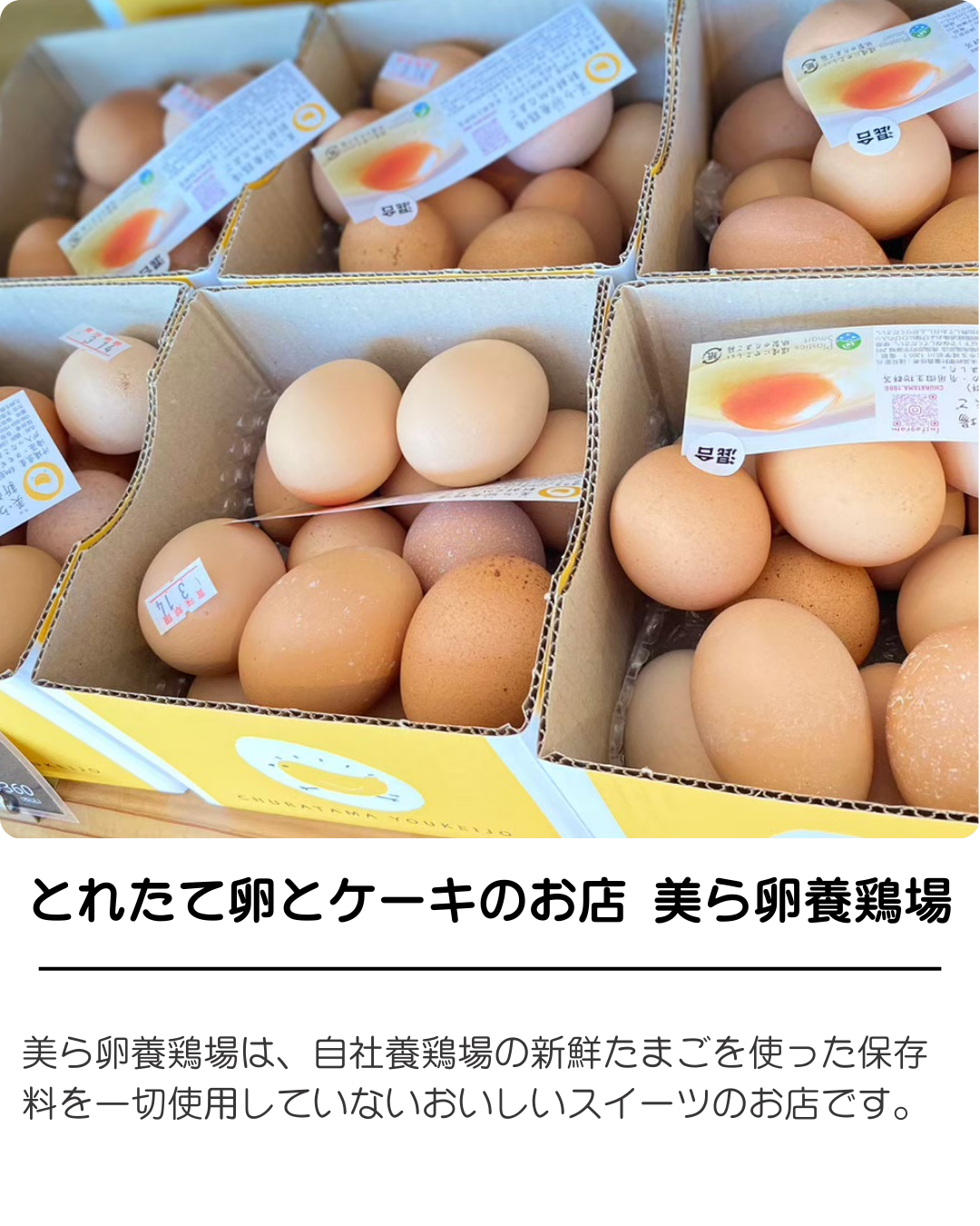 美ら卵養鶏場