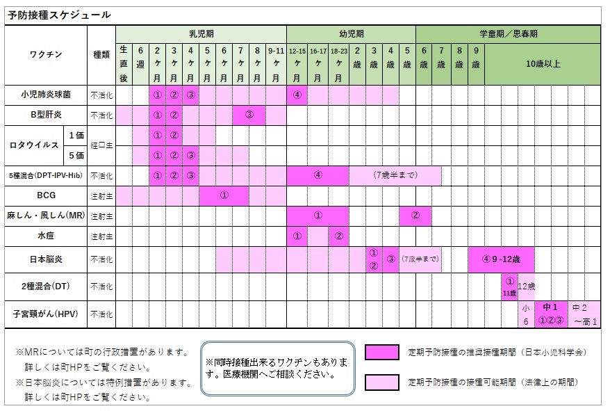 スケジュール