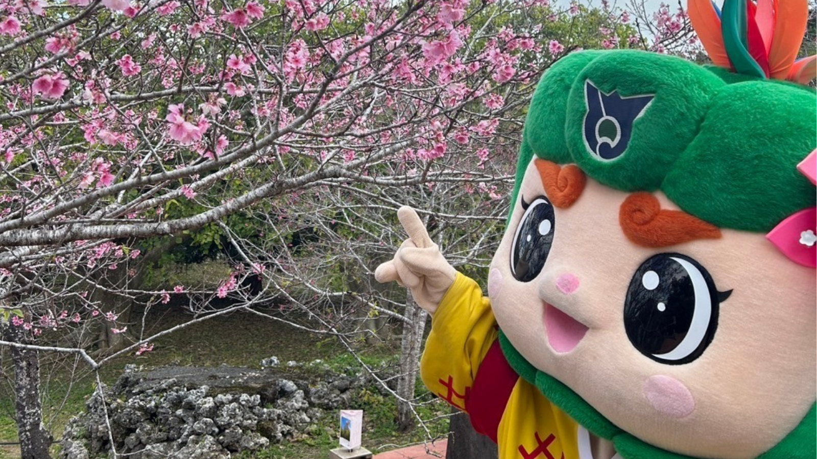 はえるんサイトスライド画像2