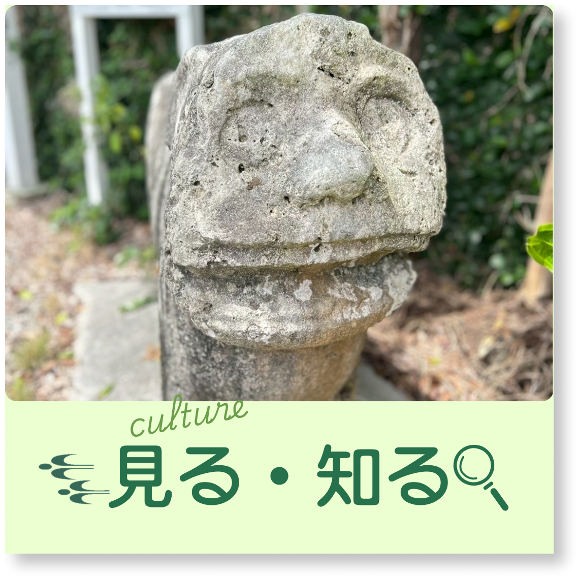 見る知るバナー