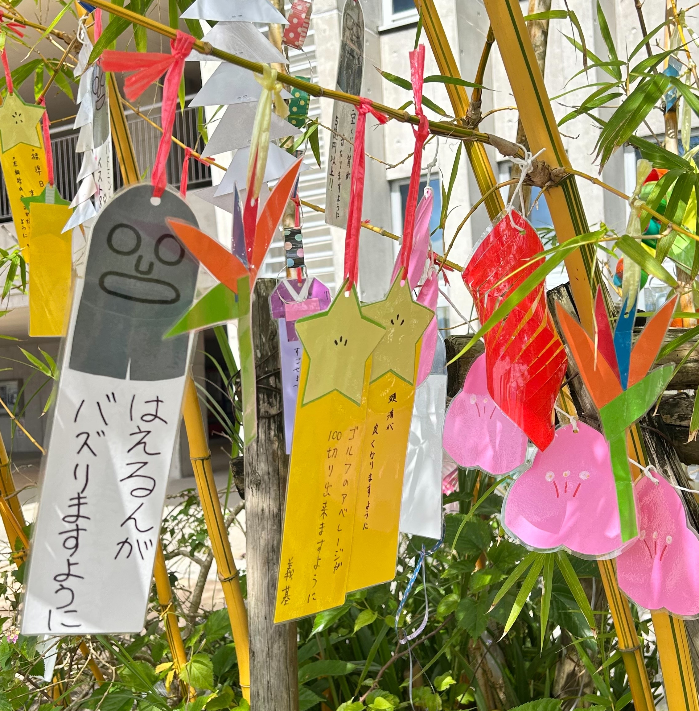 はえるんへの短冊