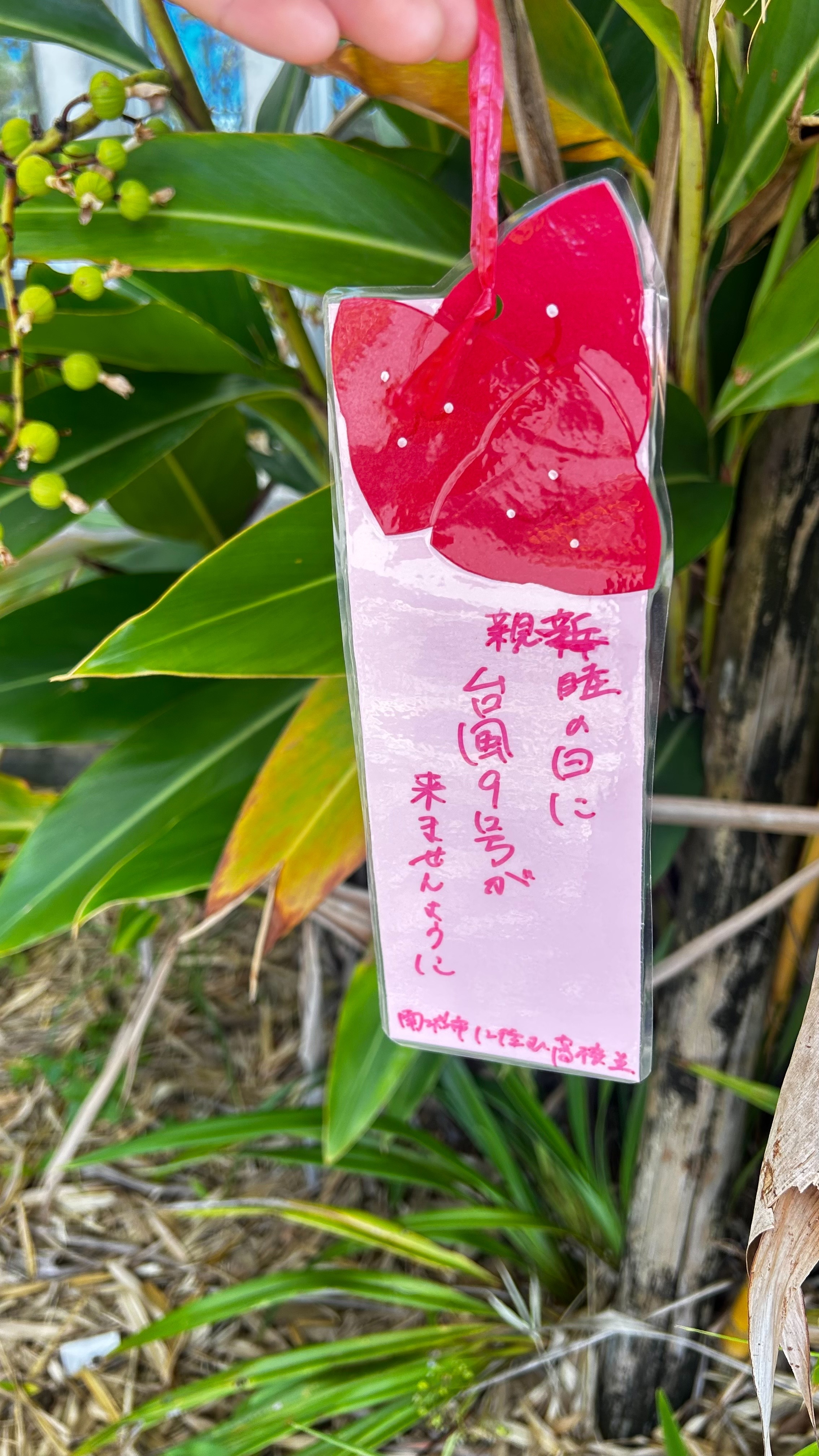 2026年七夕＞今年も沢山の短冊が飾られました - 南風原町魅力発信