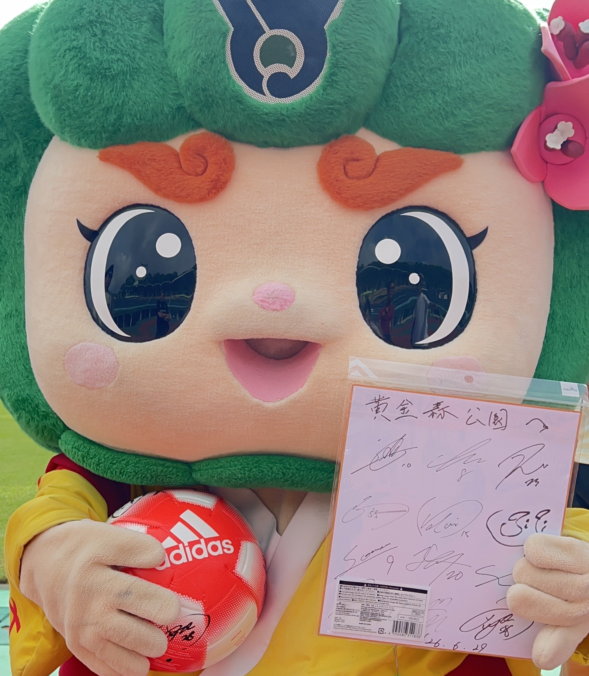 もらっちゃったルン
