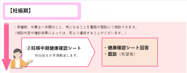 妊娠期